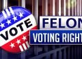 Should Felons Vote? By Howard Bloom Should Felons Vote? By Howard Bloom