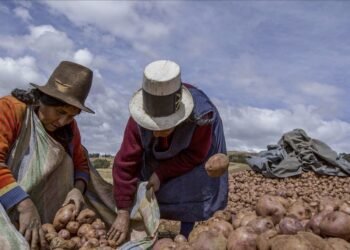 Jolting Reasons to Give  THANKS By Howard Bloom