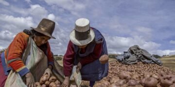 Jolting Reasons to Give  THANKS By Howard Bloom